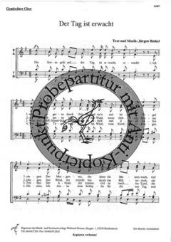 Der Tag ist erwacht (Jürgen Rinkel) 