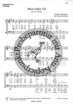 Mein stilles Tal 