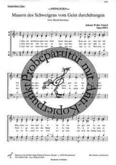 Mauern des Schweigens 