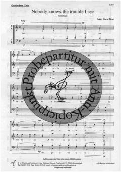 Nobody knows The trouble I see 