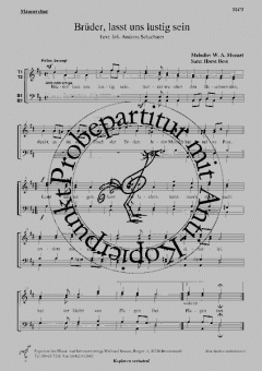 Lasst uns alle lustig sein (W.A. Mozart) 