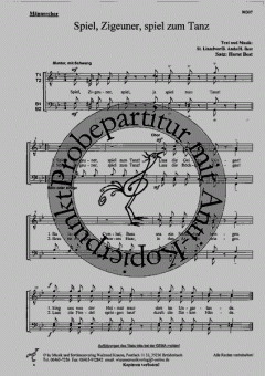 Spiel, Zigeuner, spiel zum Tanz (Horst Best) 