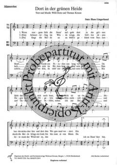 Dort in der grünen Heide (Thomas Krause) 