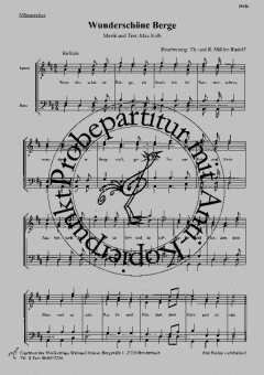 Wunderschöne Berge (Max Kolb) 