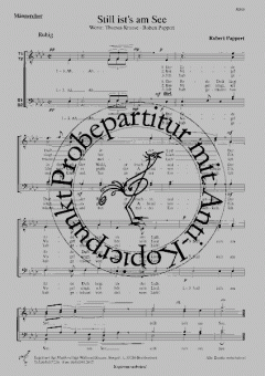 Still ist's am See (Robert Pappert) 