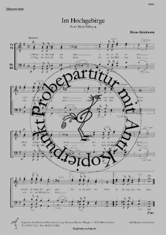 Im Hochgebirge (Heinz Reichwein) 