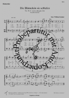 Die Blümelein sie schlafen 