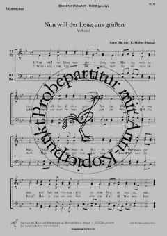 Nun will der Lenz uns grüssen 