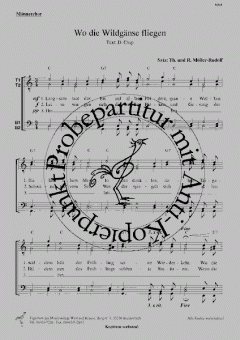 Wo die Wildgänse fliegen 