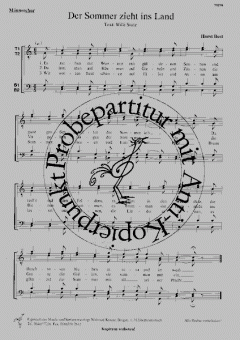 Der Sommer zieht ins Land 