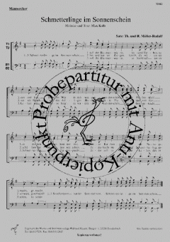 Schmetterlinge im Sonnenschein (Max Kolb) 