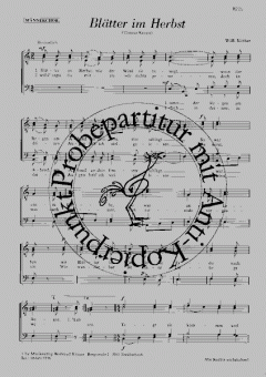 Blätter im Herbst (Willi Nöther) 