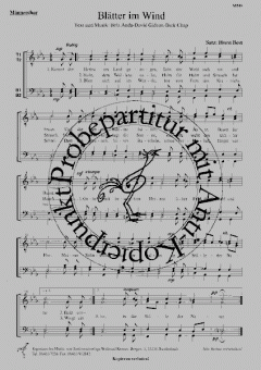 Blätter im Wind (Bela Anda) 