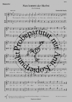 Nun kommt der Herbst (Emmerich Smola) 
