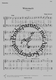 Winternacht (Walter Degreif) 