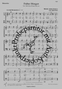 Früher Morgen (Stefan Linndvor) 