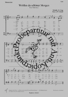 Wohlan, du schöner Morgen (Dick Chap) 