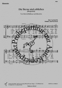 Die Sterne sind erblichen (Joseph Gersbach) 