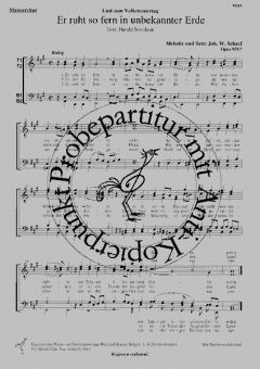 Es ruht so fern in unbekannter Erde 