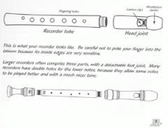 Voggy's Recorder Book (Terry Mann) 