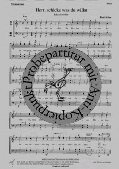 Herr, schicke was du willst (Rudi Kühn) 