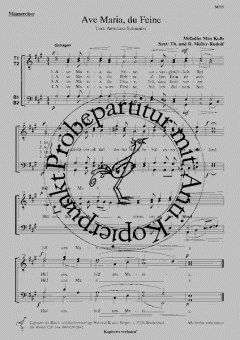 Ave - Maria, du feine (Max Kolb) 