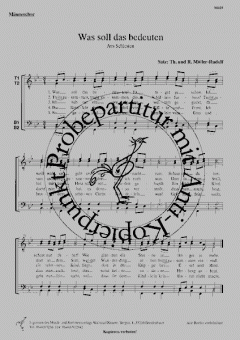 Was soll das bedeuten 