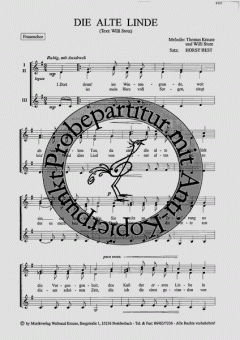 Die alte Linde (Thomas Krause) 