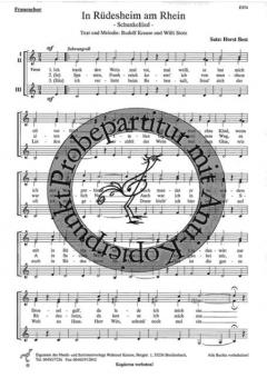 In Rüdesheim am Rhein (Rudolf Krause) 