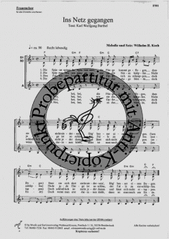Ins Netz gegangen (Wilhelm H. Koch) 
