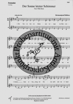 Der Sonne letzter Schimmer (Hermannjosef Rübben) 