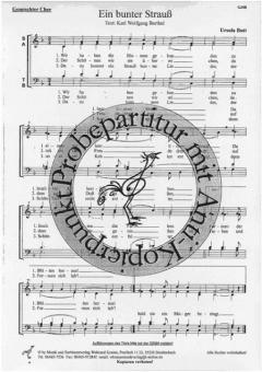 Ein bunter Strauss (Ursula Butt) 