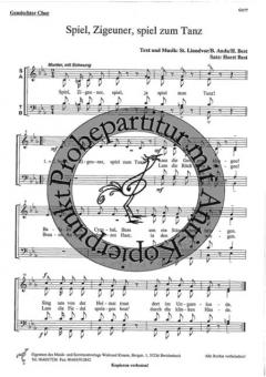 Spiel, Zigeuner, spiel zum Tanz (Horst Best) 