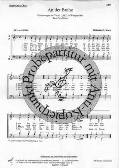 An der Brahe (Wilhelm H. Koch) 