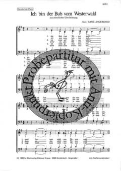 Ich bin der Bub vom Westerwald 
