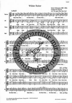 Wilder Reiter (Robert Schumann) 
