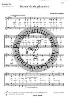 Warum bist du gekommen 