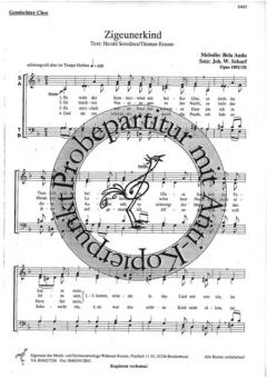 Zigeunerkind (Bela Anda) 