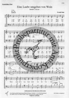 Eine Laube umgeben von Wein (Ursula Butt) 