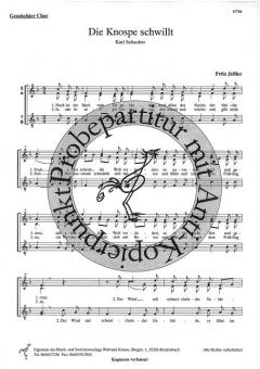 Die Knospe schwillt (Fritz Jeßler) 