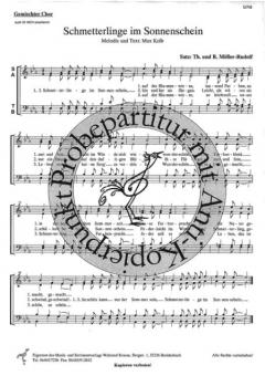 Schmetterlinge im Sonnenschein (Max Kolb) 