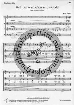 Weht der Wind schon um die Gipfel (Fritz Jeßler) 