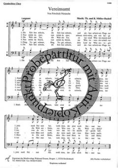 Vereinsamt (R.+ Th. Möller-Rudolf) 