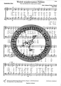 Welch wundersames Fühlen (Bela Anda) 