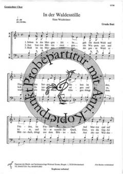 In der Waldesstille (Ursula Butt) 