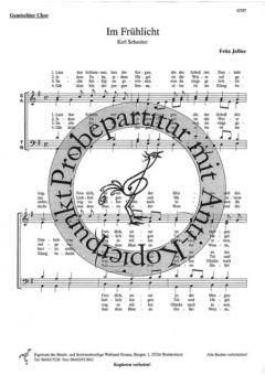 Im Frühlicht (Fritz Jeßler) 