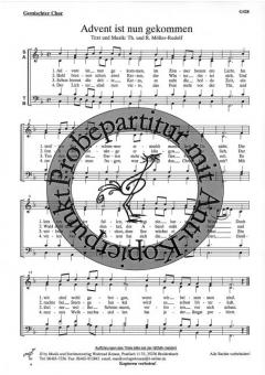 Advent ist nun gekommen (R.+ Th. Möller-Rudolf) 