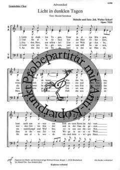 Licht in dunklen Tagen 