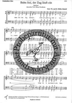 Bahn frei! Der Zug läuft ein! 