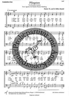 Pfingsten (R.+ Th. Möller-Rudolf) 